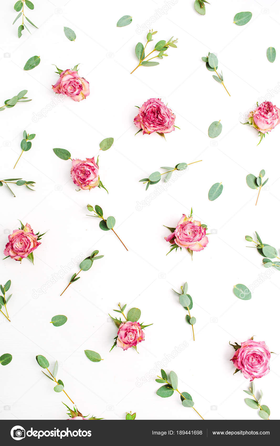 Green Flowers Roses Pink Background White Rose Flower Surrounded by red Buds 3dRose Alexis Photography T-Shirts Green Flowers Roses Pink Background White Rose Flower Surrounded by red Buds 3dRose Alexis Photography T-Shirts