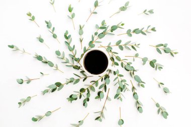 Bir fincan kahve ve okaliptüs şube beyaz arka plan üzerinde. En az daire yatıyordu, en iyi görünümü.