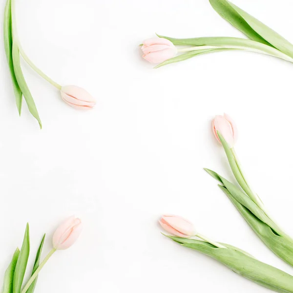 Ram Rosa Tulpan Blommor Vit Bakgrund Platt Lekmanna Top View — Stockfoto