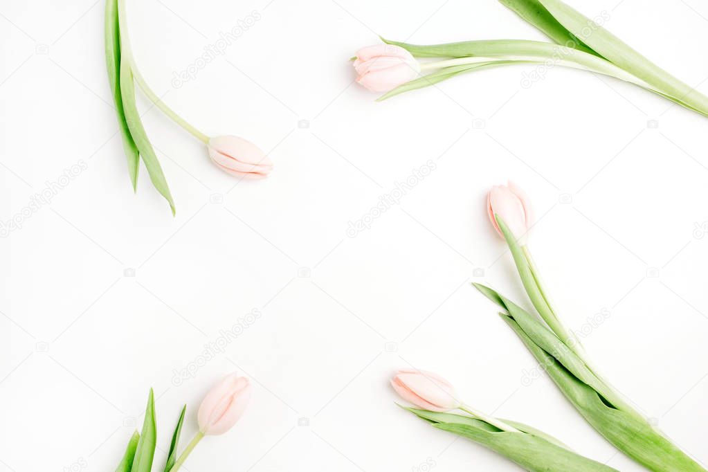 Frame of pale pink tulip flowers on white background. Flat lay, top view. Minimal floral mock up concept.