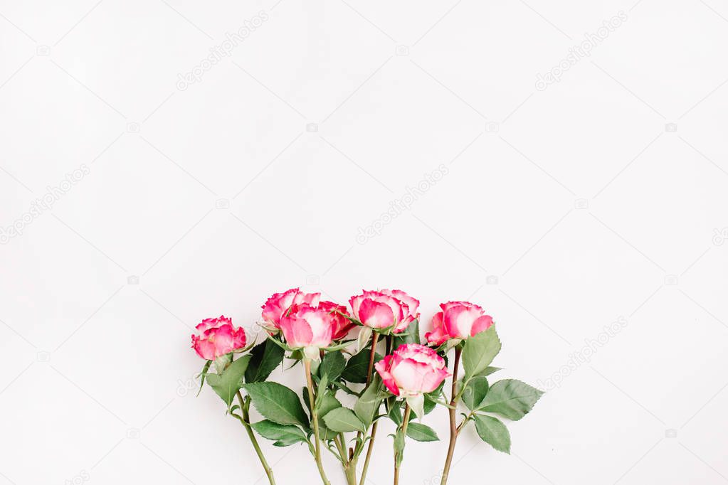 Pink rose flowers bouquet on white background. Flat lay, top view minimal spring floral blog hero header.