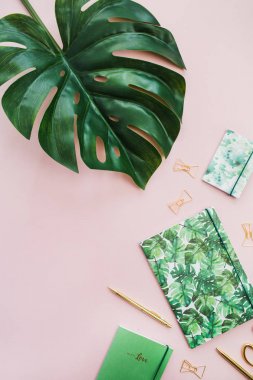 Egzotik tropik monstera palmiye yaprağı ve Ev Ofis Kırtasiye soluk pembe bir arka plan üzerinde. Düz yatıyordu, en iyi görünüm çok az çalışma alanı.