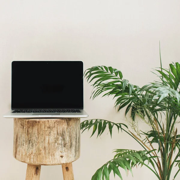 Vorderseite Des Laptops Auf Holzhocker Und Tropische Palme Header Des — Stockfoto