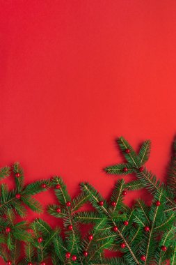 Noel / Yeni Yıl bayramı kompozisyonu. Kırmızı arka planda böğürtlen dalları. Düz konum, üst manzara şenlik konsepti.