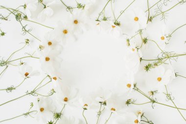 Minimum stil konsept. Beyaz arka planda papatya çiçeğinden çelenk. Yaratıcı yaşam tarzı, yaz, bahar konsepti. Boşluğu kopyala, düz yat, üst görünüm.