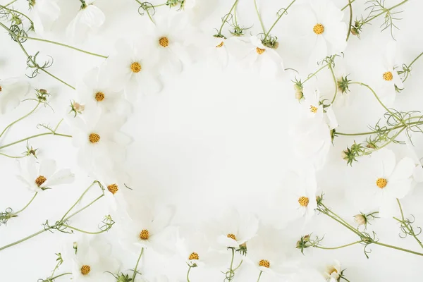 Minimalny Styl Koncepcji Wieniec Wykonany Białych Stokrotek Kwiatów Rumianku Białym — Zdjęcie stockowe