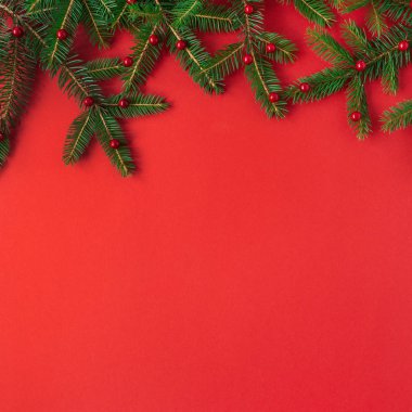 Noel / Yeni Yıl kompozisyonu. Kırmızı arkaplanda kırmızı böğürtlen olan firavun ağacı dalları. Düz konum, üst görünüm yaratıcı festival konsepti.