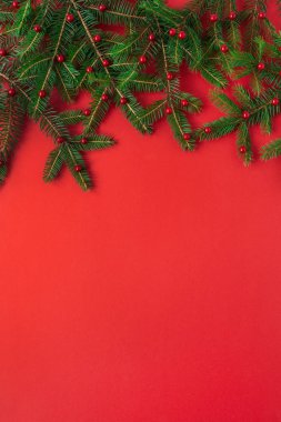 Noel / Yeni Yıl kompozisyonu. Kırmızı arkaplanda kırmızı böğürtlen olan firavun ağacı dalları. Düz konum, üst görünüm yaratıcı festival konsepti.