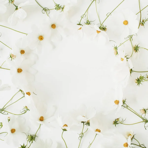 Концепция Стиле Фабрегаса Венок Белых Ромашковых Цветов Белом Фоне Творческий — стоковое фото