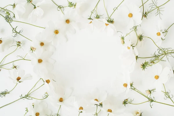 Minimalistisches Konzept Kranz Aus Weißen Gänseblümchen Kamillenblüten Auf Weißem Hintergrund — Stockfoto