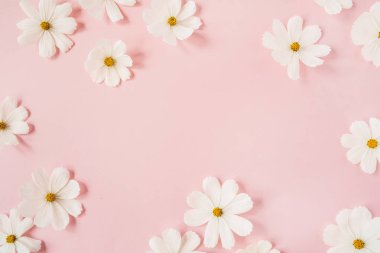 Minimum stil konsept. Soluk pembe arka planda beyaz papatya çiçekleri. Yaratıcı yaşam tarzı, yaz, bahar konsepti. Boşluğu kopyala, düz yat, üst görünüm.