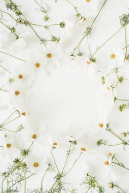 Minimum stil konsept. Beyaz arka planda papatya çiçeğinden çelenk. Yaratıcı yaşam tarzı, yaz, bahar konsepti. Boşluğu kopyala, düz yat, üst görünüm.