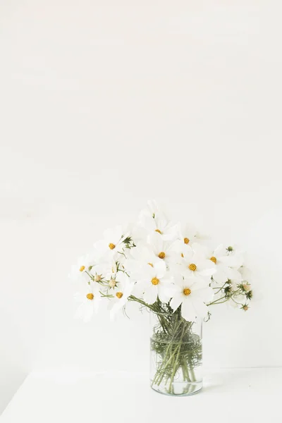 一个美丽的背景 白色的洋甘菊 菊花在花瓶站在白色的桌子上 结婚纪念日的概念 — 图库照片