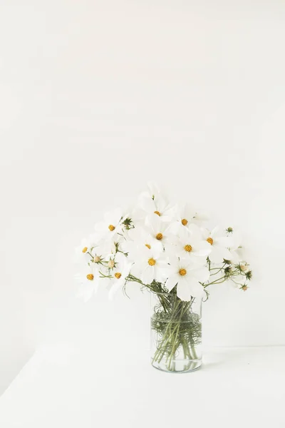 Krásné Pozadí Bílým Heřmánkem Sedmikrásky Květiny Váze Stojící Bílém Stole — Stock fotografie