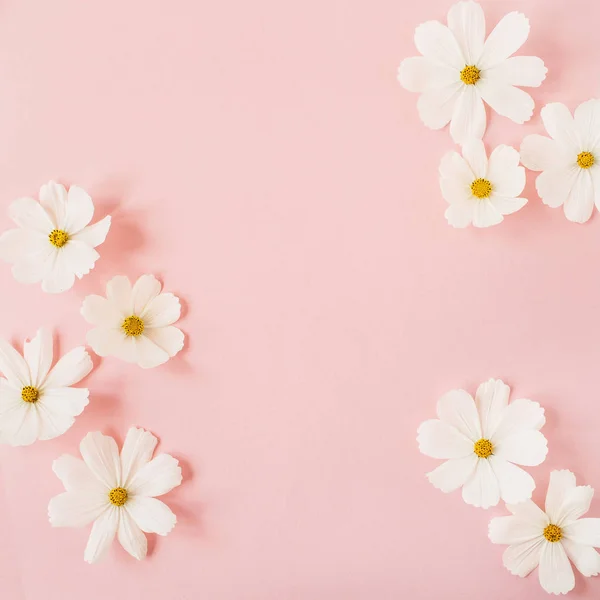 Conceito Estilo Mínimo Flores Brancas Camomila Margarida Fundo Rosa Pálido — Fotografia de Stock