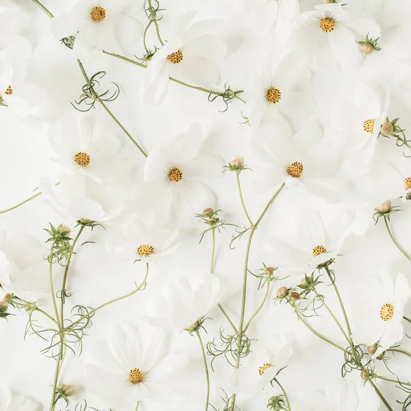 Gyönyörű Minta Fehér Kamillával Százszorszép Virágokkal Virágos Textúra Vagy Nyomat — Stock Fotó