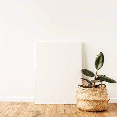 Boş tuval önünde ev bitkisi. Model uzay suluboya resim kavramını kopyala.