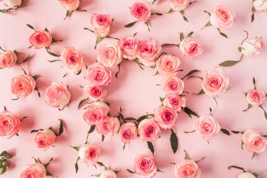 Düz çerçeve kenarlığı, pembe arka planda pembe gül tomurcuklarından yapılmış boş bir kopya alanı modeli. Üst görünüm çiçek kavramı.