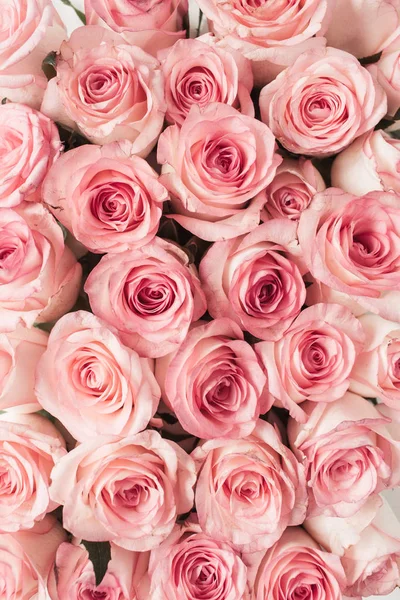 Composición Floral Con Rosa Rosa Flores Patrón Textura Fondo Pisos —  Fotos de Stock
