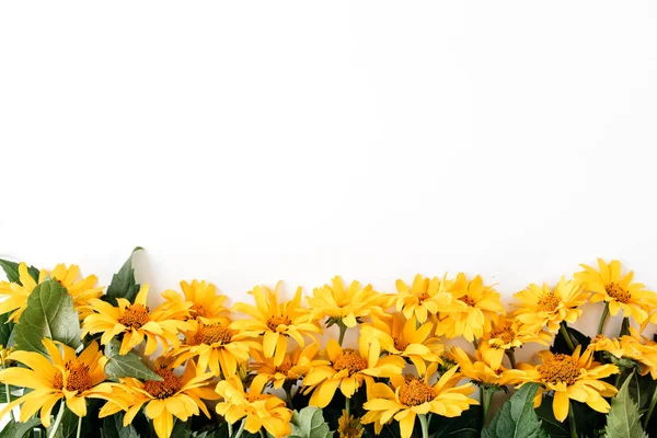 Плоские Лежат Желтые Цветочки Белом Фоне Вид Сверху Цветочную Текстуру — стоковое фото