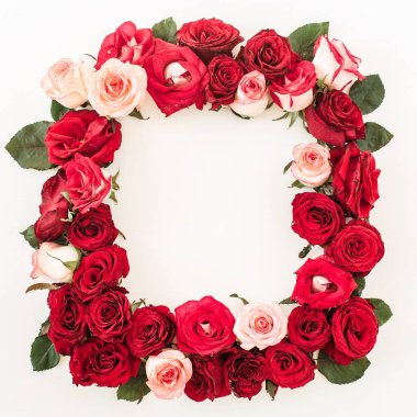 Pembe çerçeveli, beyaz arkaplanda kırmızı gül çiçekleri. Boş fotokopi alanı oluştur. Düz konum, üst görünüm çiçek kompozisyonu.