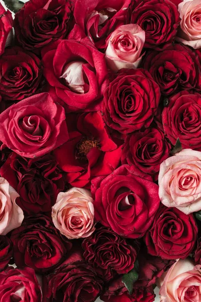 具有红色 粉红色玫瑰花纹质感背景的花构图 顶部视图 — 图库照片