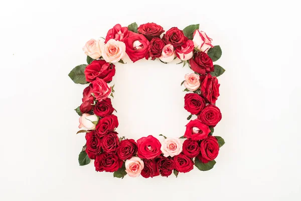 Vierkante Frame Rand Van Roze Rode Roos Bloemen Witte Achtergrond — Stockfoto