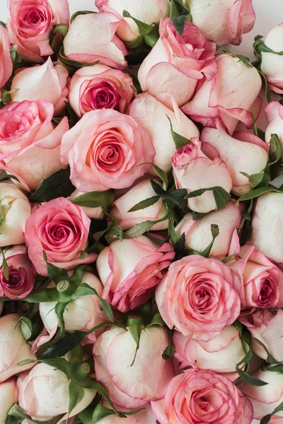Bloemen Samenstelling Met Roze Roos Bloemen Patroon Textuur Achtergrond Flatlay — Stockfoto