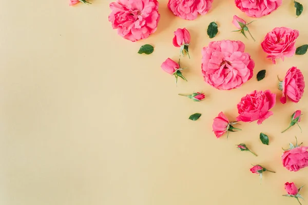 Rose Rose Bordure Fleurs Sur Fond Jaune Couché Plat Vue — Photo