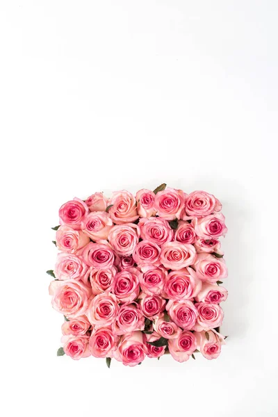 Plato Plano Brotes Flores Rosa Sobre Fondo Blanco Vista Superior —  Fotos de Stock