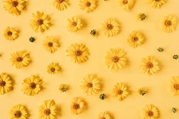 Květinové Složení Žlutými Květinovými Pupeny Vzor Textury Žlutém Pozadí Flatlay — Stock fotografie