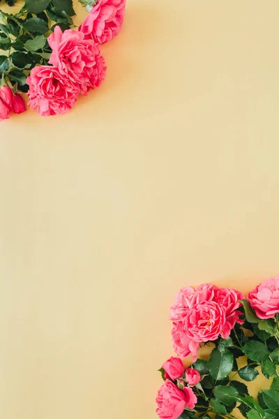 Pink rose flowers with blank copy space frame border on yellow background. Flat lay, top view minimal floral mockup.