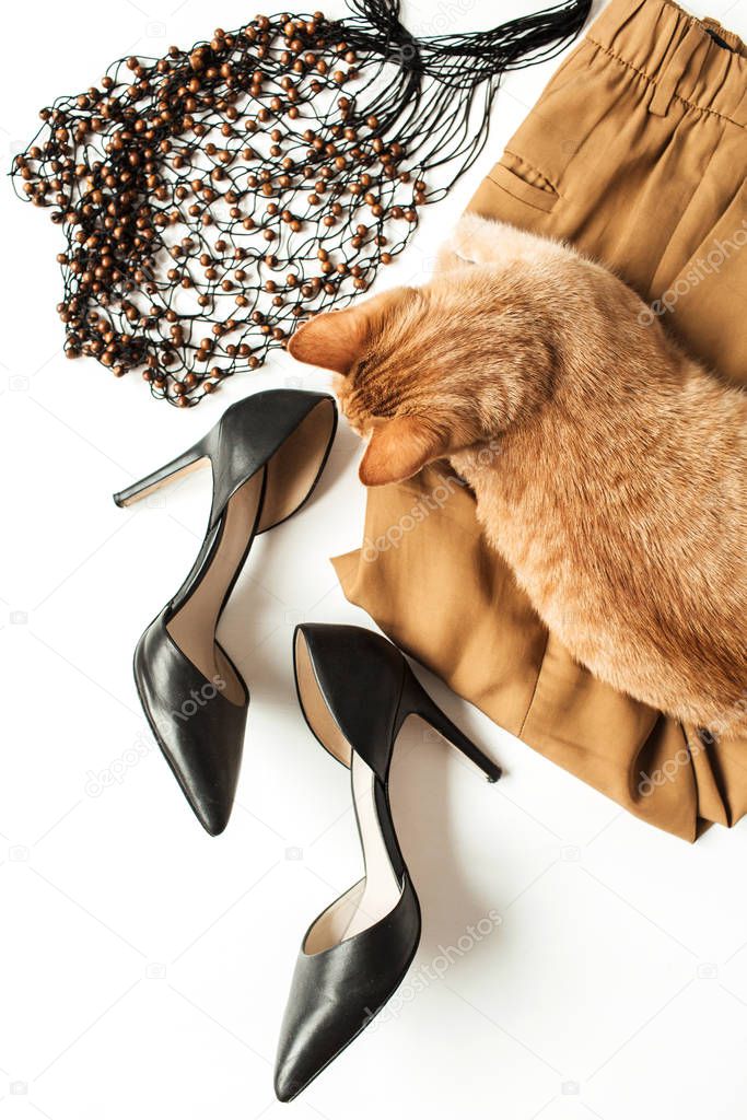 Women fashion clothes, accessories, cute beautiful ginger kitten on white background. Flat lay, top view minimal trendy collage. Pants, high-heel shoes, string bag. Fashion blog, magazine concept.