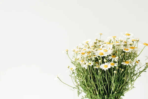 Букет Цветов Ромашки Белом Фоне — стоковое фото
