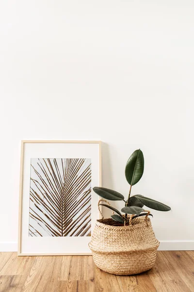 Home Növényi Ficus Rattan Pot Előtt Képkeret Fotóval Helyi Pálmalevél — Stock Fotó