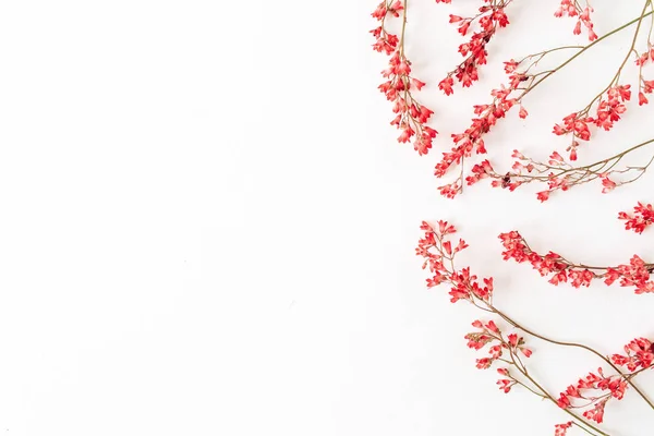 Красные Полевые Цветы Белом Фоне Квартира Лежала Вид Сверху День — стоковое фото