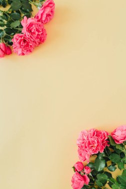 Pastel sarı arka planda boş fotokopi alanı çerçeveli pembe güller. Düz yatıyordu.