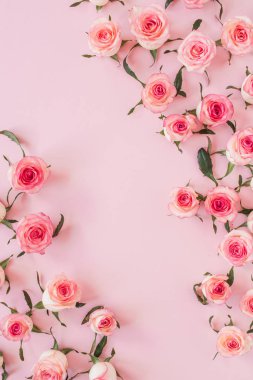 Düz gül tomurcukları pembe arka planda yatıyordu. Üst görünüm en küçük çiçek bileşimi.