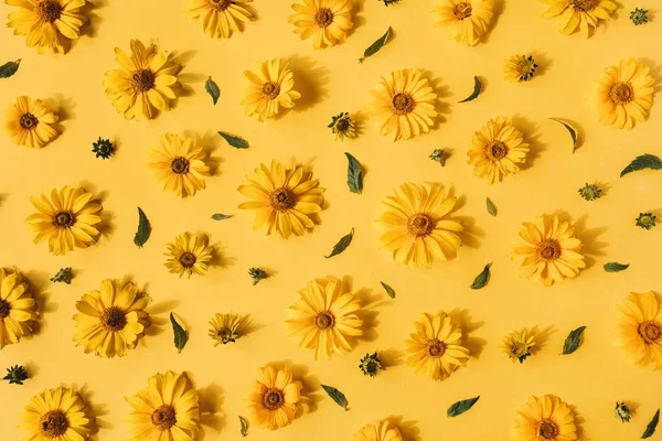 Žlutém Pozadí Ležel Žlutý Oblázkový Vzor Květinových Poupat Květinová Textura — Stock fotografie
