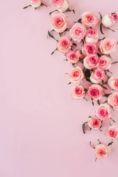 Brotes Flores Planas Rosa Vista Superior Composición Floral Mínima —  Fotos de Stock
