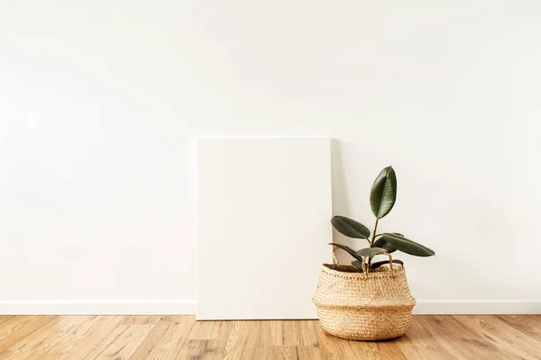 空白のキャンバスの前にホーム植物のフィクス モックアップコピースペース水彩画のアートコンセプト — ストック写真