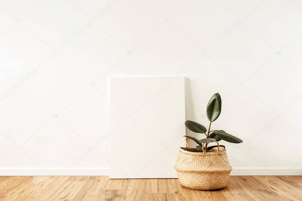 Home plant ficus in front of blank canvas. Mockup copy space watercolor art concept.