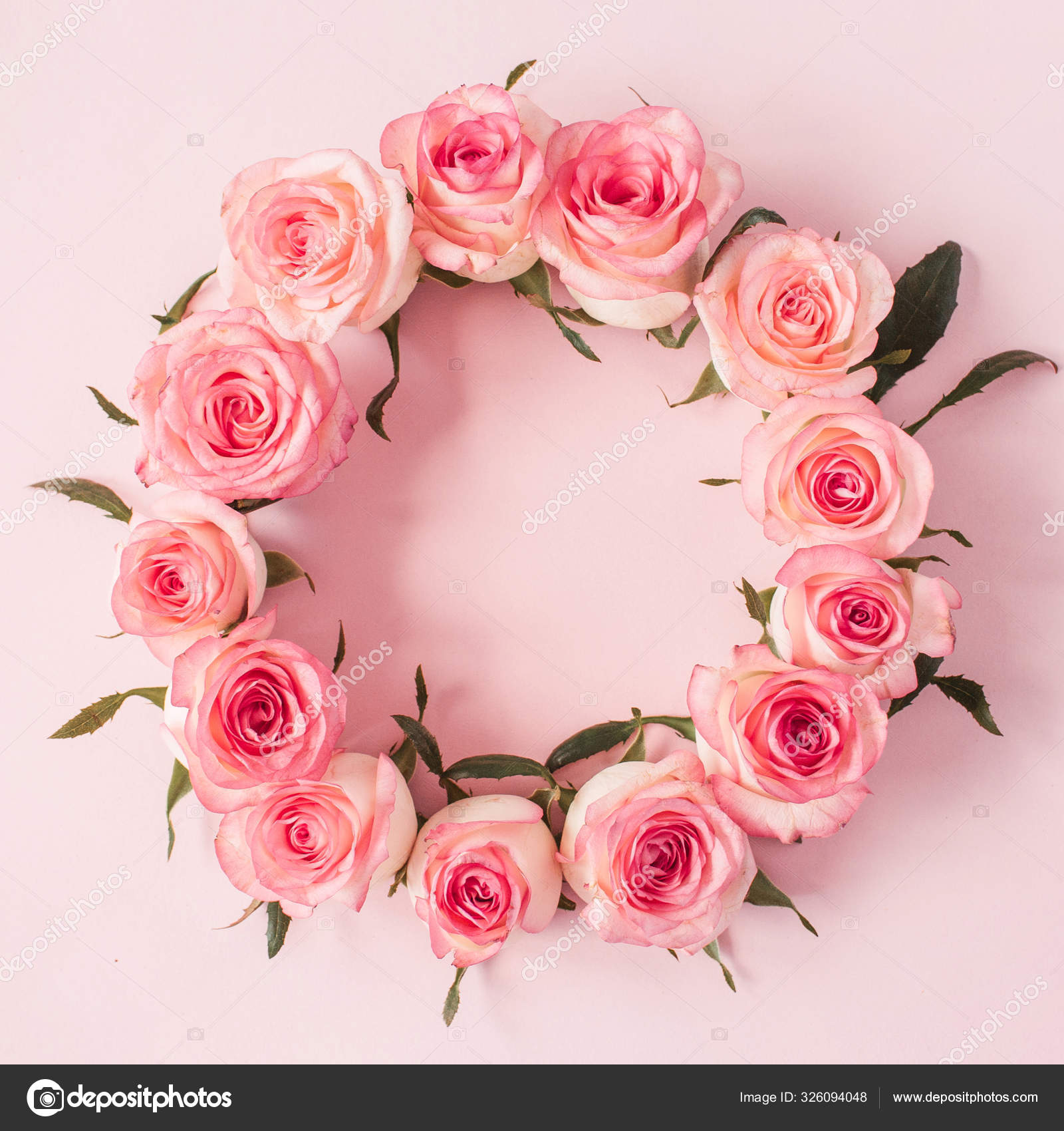 Bordure Cadre Rond Boutons Fleurs Roses Rose Sur Fond Rose — Photo de stock  par ©maximleshkovich - 326094048, image size:1600x1700