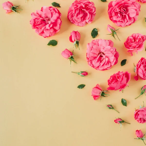 Rosa Flores Color Rosa Borde Sobre Fondo Amarillo Piso Tendido —  Fotos de Stock