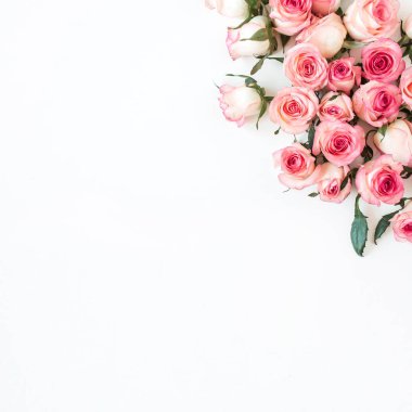 Beyaz arka planda pembe gül tomurcukları olan çiçek kompozisyonu. Düz yatış, üst görünüm.