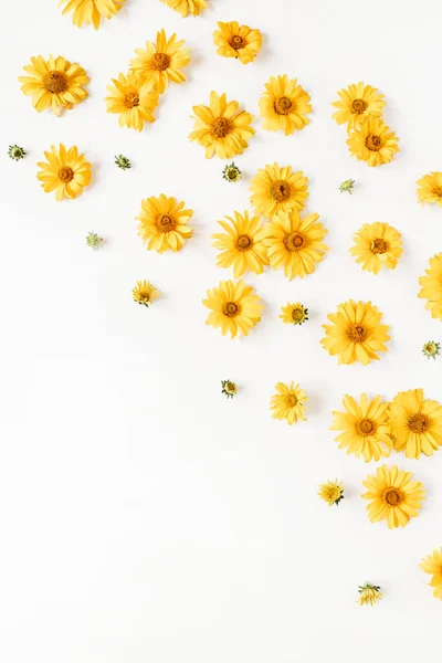 Плоскі Лежать Жовті Ромашкові Квіткові Бруньки Листя Білому Тлі Вид — стокове фото
