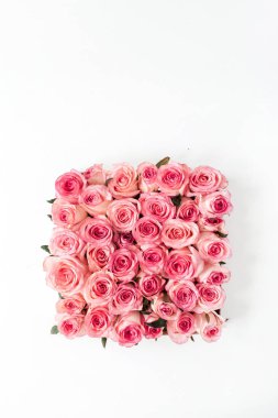 Pembe gül tomurcukları ve beyaz arka planda yapraklar. Düz yatış, üst görünüm yaratıcı kare çiçek kavramı.