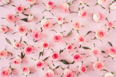 Düz pembe gül tomurcukları ve pembe arka planda yapraklar vardı. Üst görünüm çiçek dokusu.