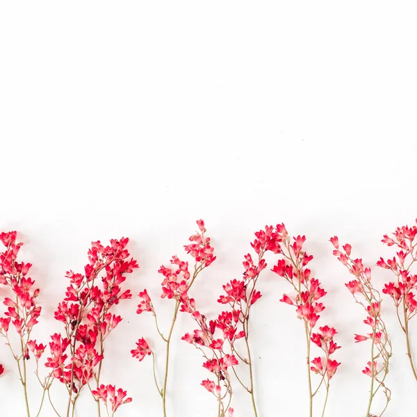Красные Полевые Цветы Плоский Узор Вид Сверху Минимальный Цветочный Фон — стоковое фото