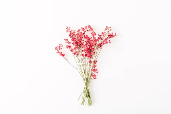 Piros Vadvirágok Csokor Fehér Háttér — Stock Fotó